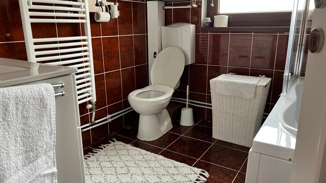 Travellers Apartment Cluj Napoca Bagian luar foto